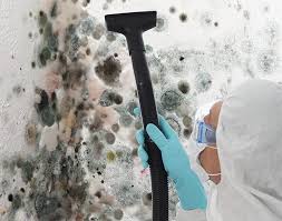 Best Biohazard Mold Removal  in Antelope, CA